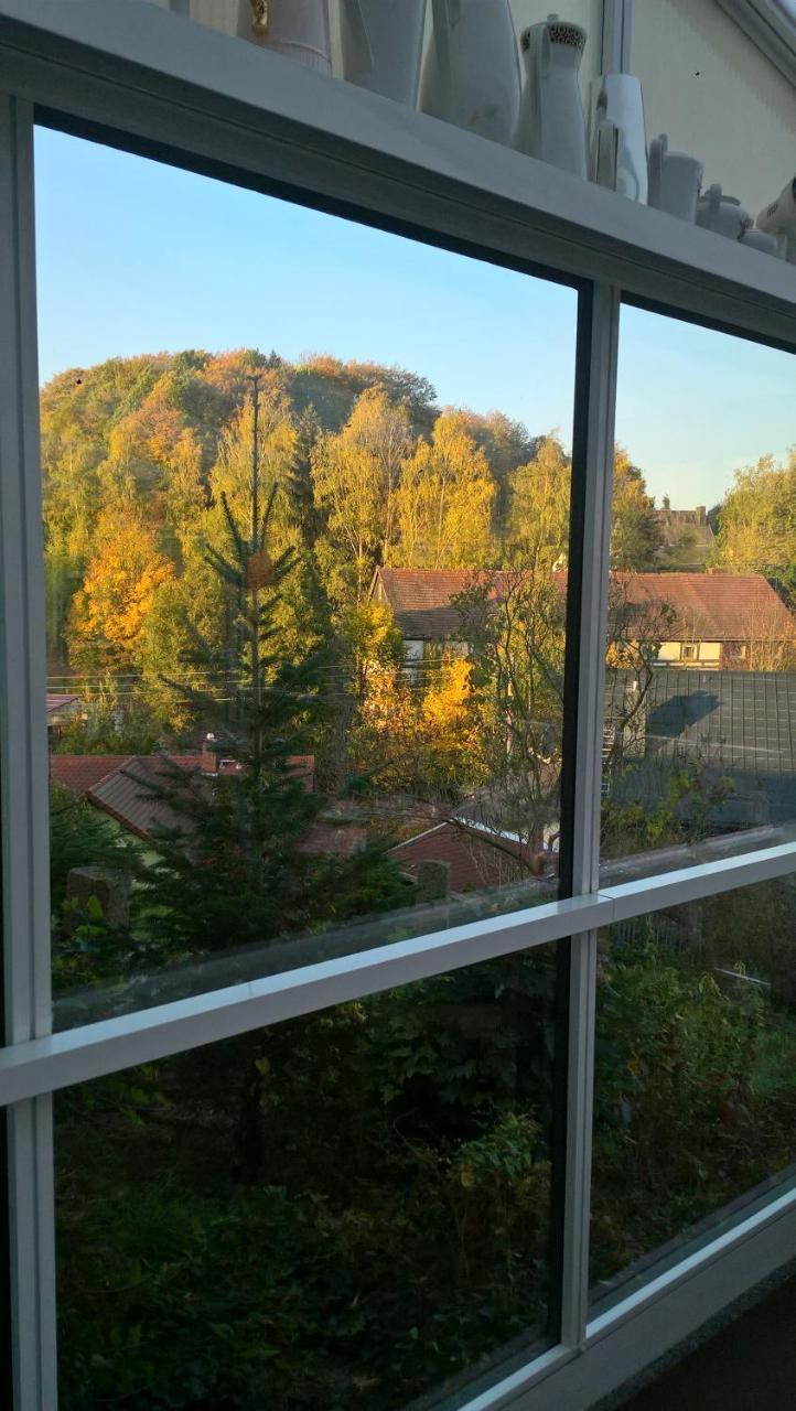 Landpension Haupt Зебниц Экстерьер фото