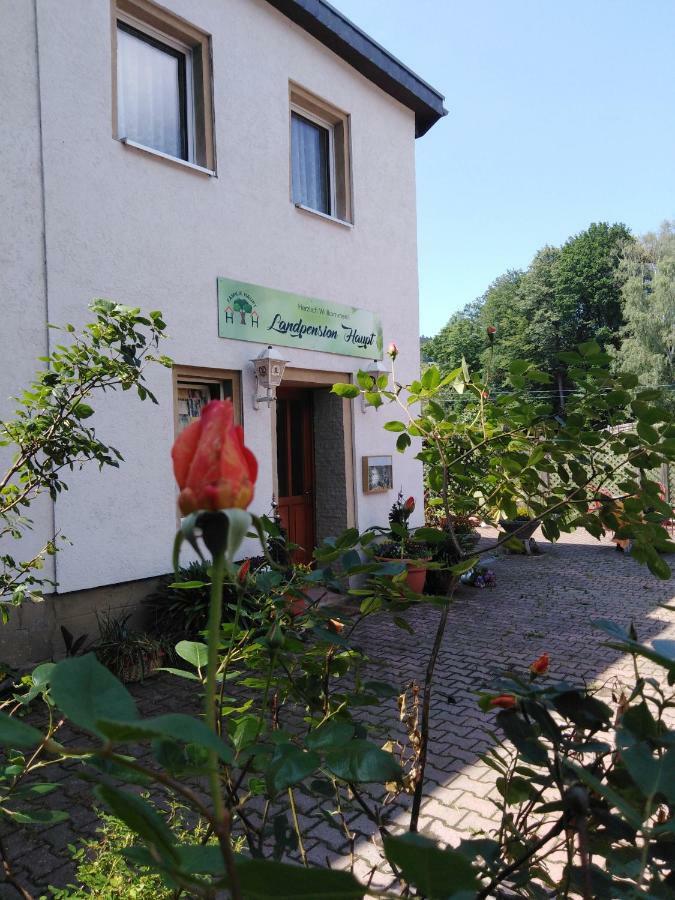 Landpension Haupt Зебниц Экстерьер фото